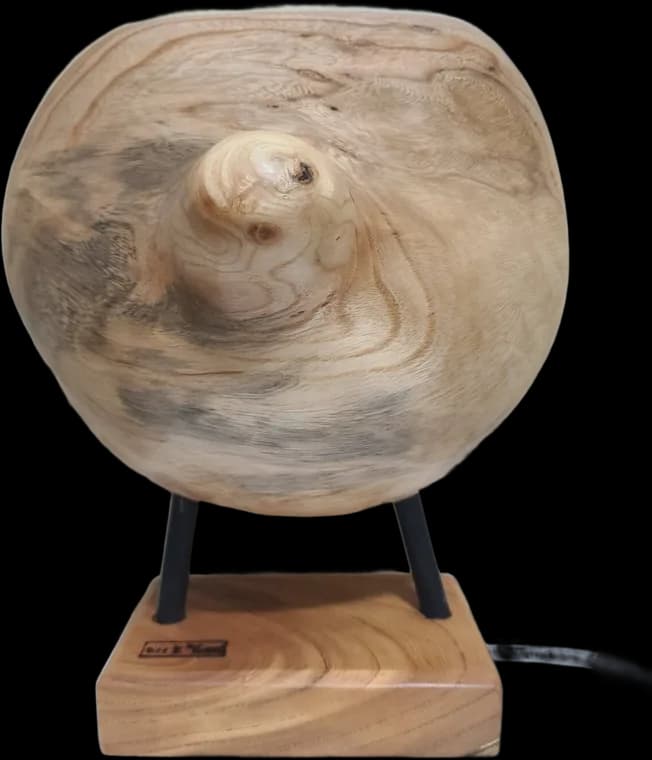 Full Moon Jar — root-wood sculpture by Teho Halbae