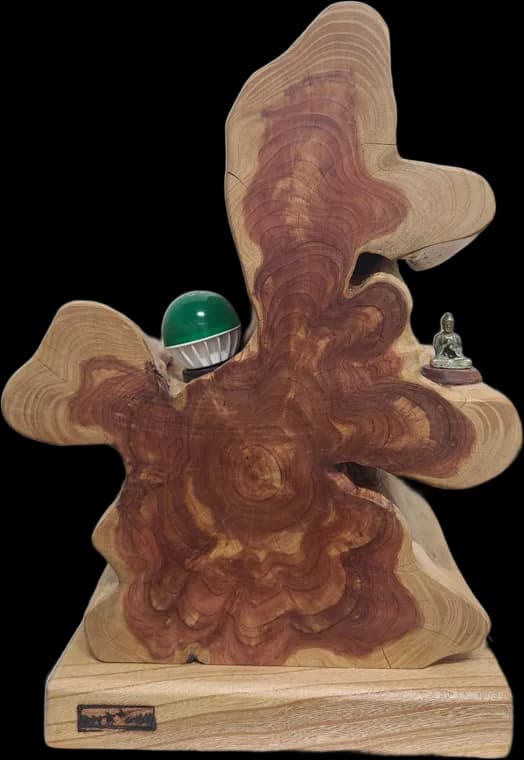 The Cloud Shelf — root-wood sculpture by Teho Halbae